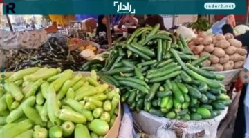 أسعار الطماطم والبطاطس في أسواق الإسكندرية اليوم